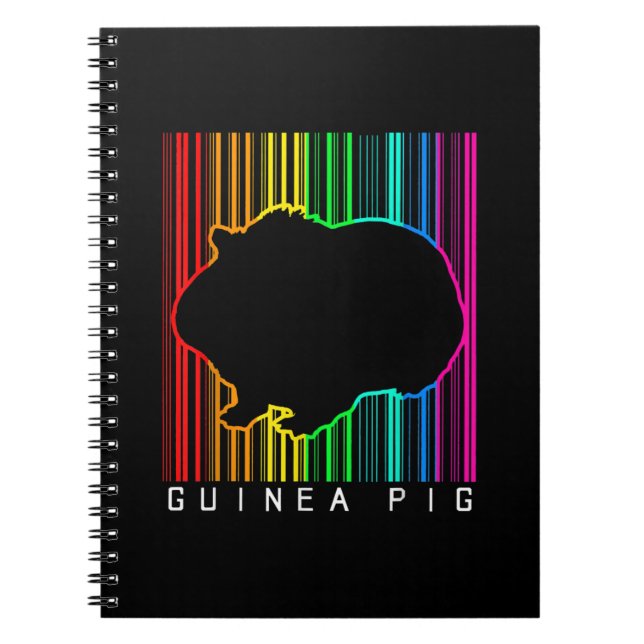 Carnet DJ Guinea Pig Techno Edm Animal Rave Star Rainbow (Devant)