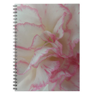 Carnet d'oeillet blanc et rose