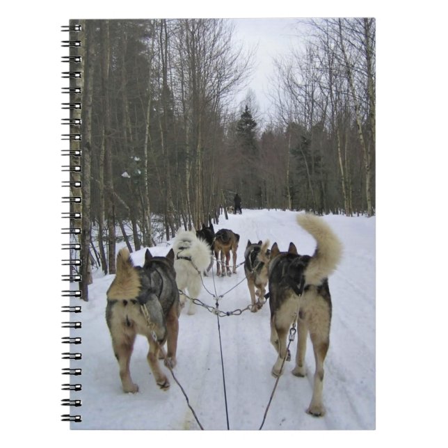 Carnet Dog Sledding à Québec, Canada (Devant)