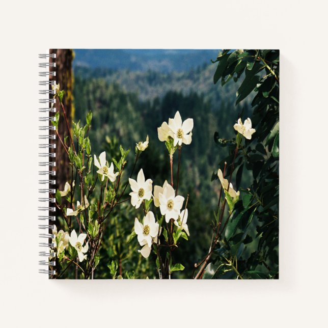 Carnet Dogwood's Blooming.... (Devant)