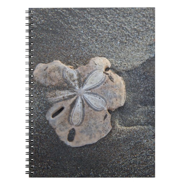 Carnet Dollar des sables sur le sable (Devant)