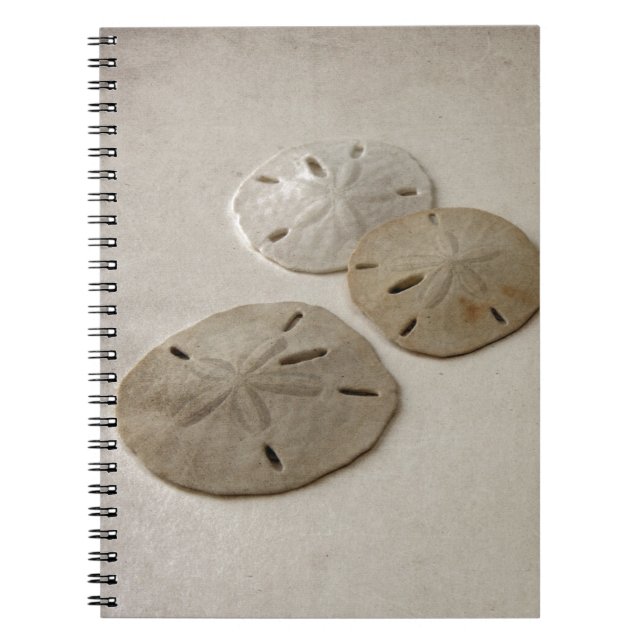 Carnet Dollars de sable vintages (Devant)