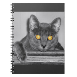 Carnet d'or Dusky