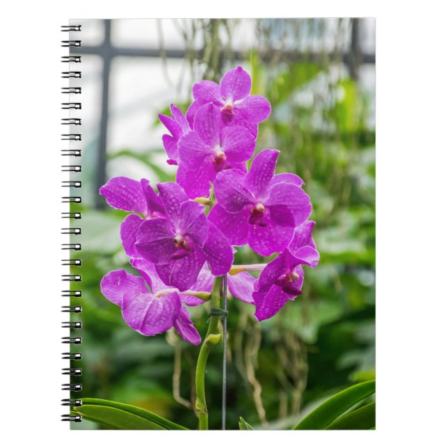 Carnet d'orchidées (Devant)