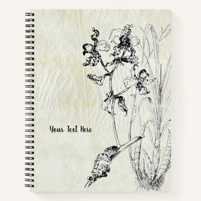 Carnet d'orchidées Cyrtopodium punctatum (Devant)