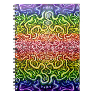 Carnet Double arc-en-ciel tordu