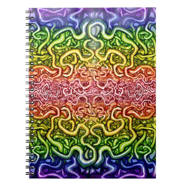 Carnet Double arc-en-ciel tordu (Devant)