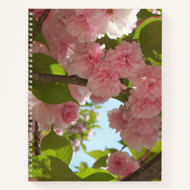 Carnet Double floraison cerisier III printemps fleuri (Devant)