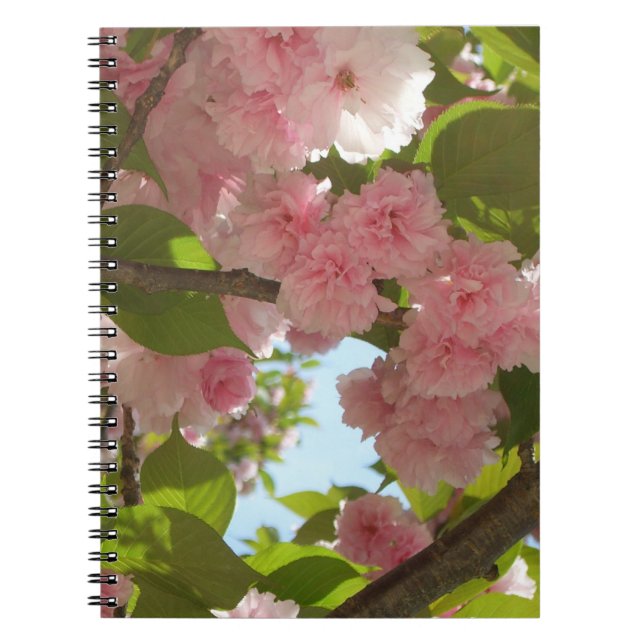 Carnet Double floraison cerisier III printemps fleuri (Devant)