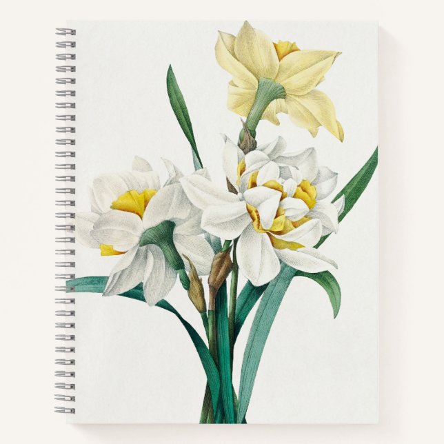 Carnet Double Narcisse,  Pierre-Joseph Redouté, 1827 (Devant)