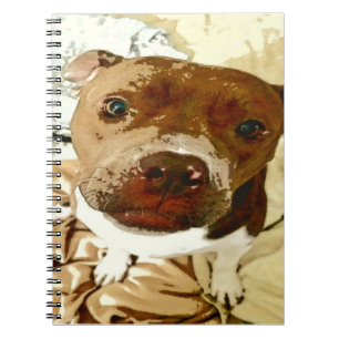Carnet Douce Pibble Face