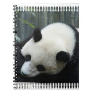 Carnet d'ours panda