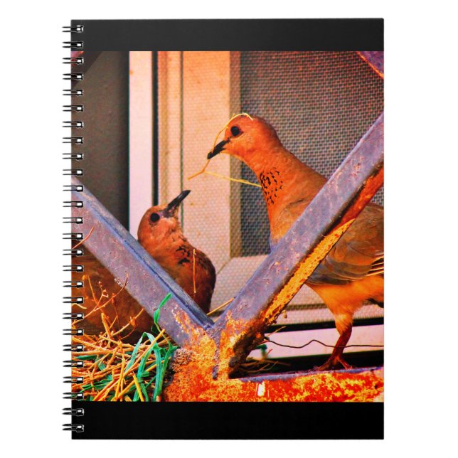 Carnet Dove Romance (Devant)
