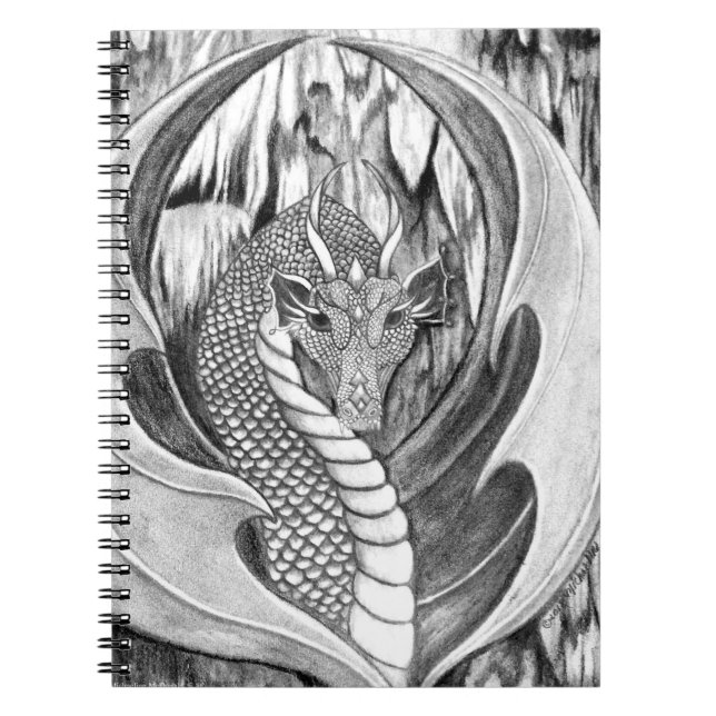 Carnet Dragon (Devant)