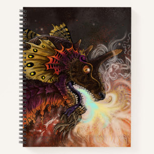 Carnet Dragon à crampons