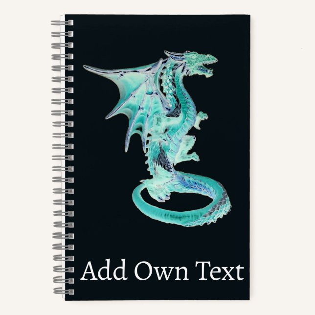 Carnet Dragon cavalier de vent Œuvre d'art fantastique Ci (Recto)