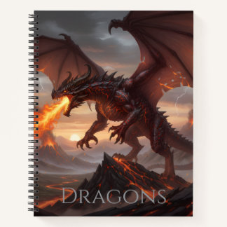 Carnet Dragon Notebook