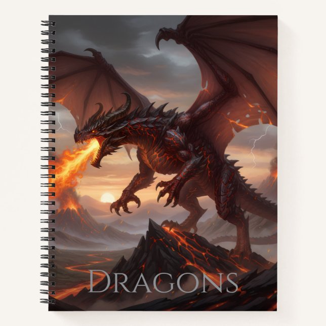 Carnet Dragon Notebook  (Devant)