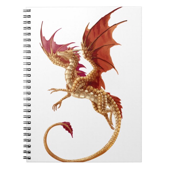 Carnet dragon volant (Devant)