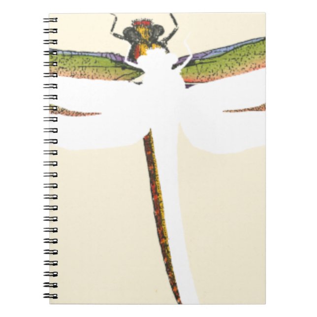Carnet Dragonfly miniature sur Arrière - plan blanc (Devant)