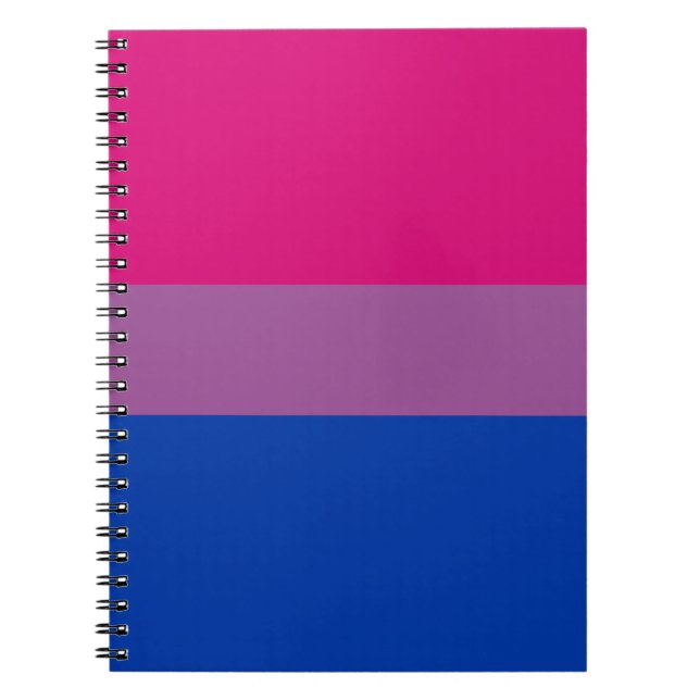Carnet Drapeau de la fierté bisexuelle (Devant)