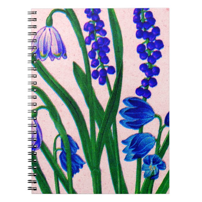 Carnet drêches à neige et scilla (Devant)