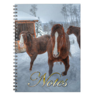 Carnet Drôle Amorous Stallion et Chevaux de jument