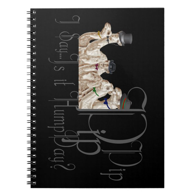 Carnet Drôle Camels de la Journée de la Humpe à Monocles (Devant)