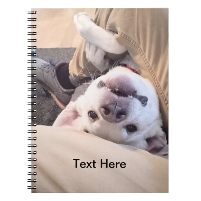 Carnet Drôle Chien ne sera pas ignoré Photo comique (Devant)