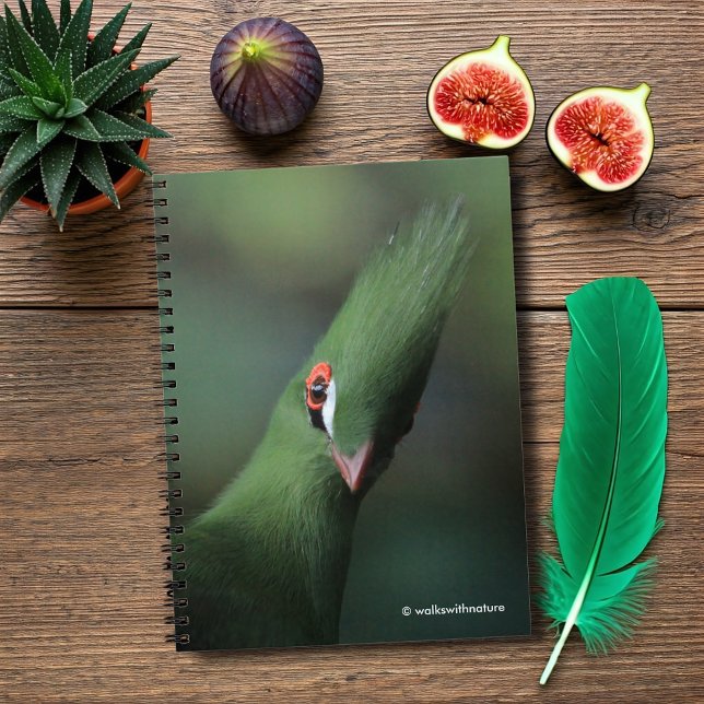 Carnet Drôle Curieux Guinée Turaco Oiseau Vert (Funny and Curious Guinea Turaco Journal Cover Photo)