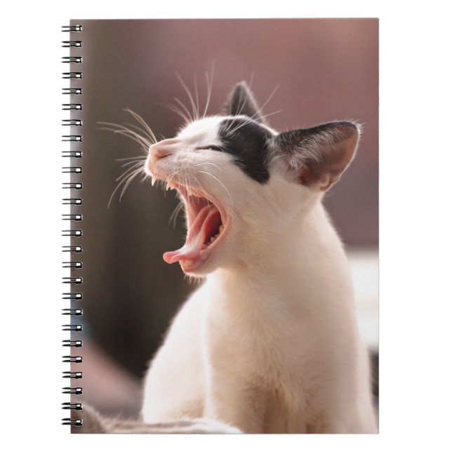 Carnet Drôle Jeu de chat (Devant)