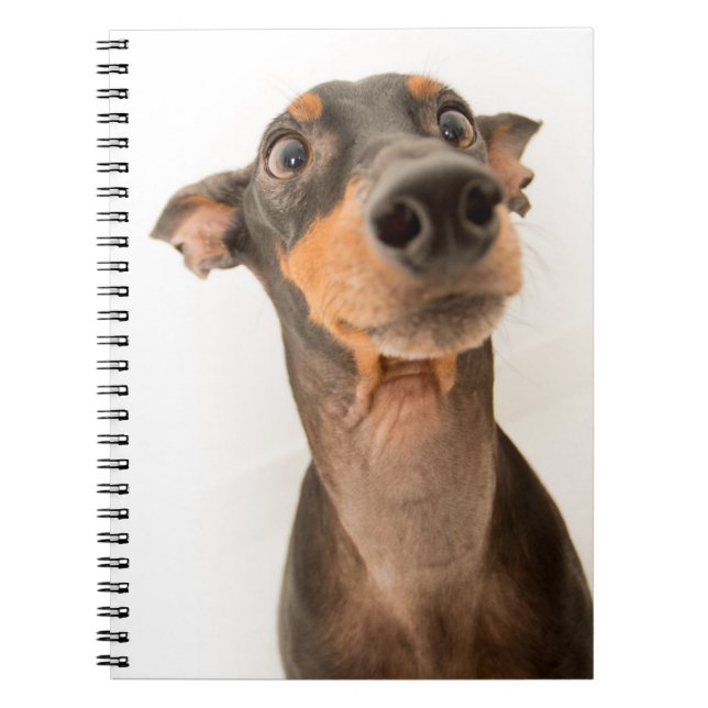 Carnet Drôle mignon Doberman Chien Chien Chien Chien (Devant)