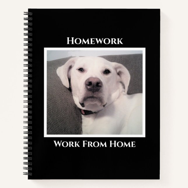 Carnet Drôle Mignon Grincheux Chien Blanc Noir Devoir (Devant)