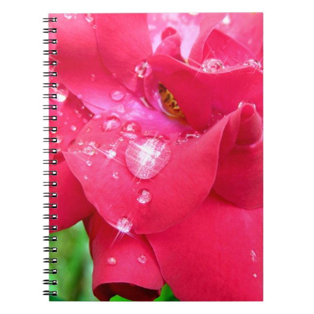 Carnet Droplets on Petals Photo Notebook (Devant)