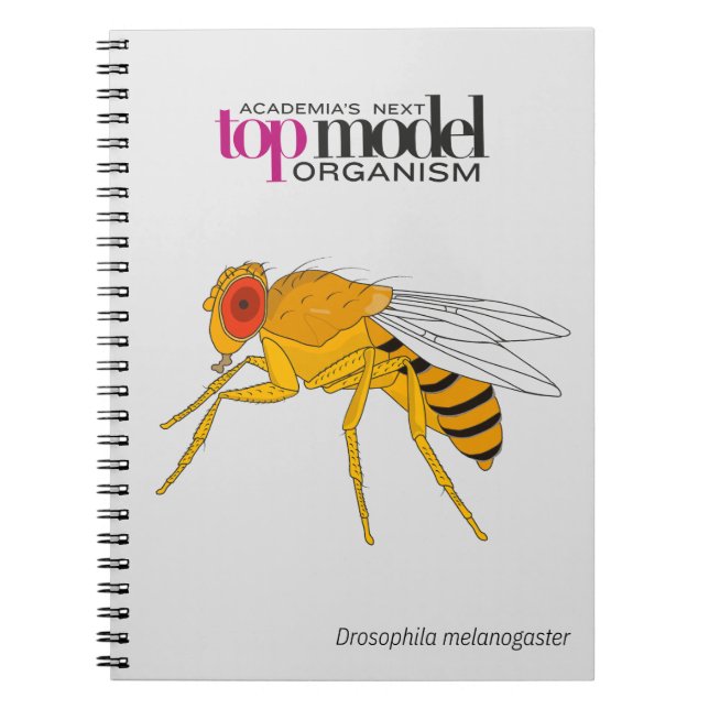 Carnet Drosophila spiral notebook (Devant)