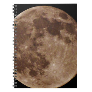 CARNET DSC02662.JPG