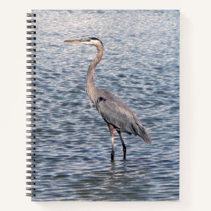 Carnet du Héron bleu