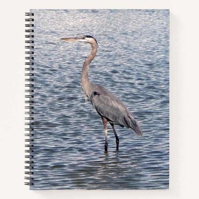 Carnet du Héron bleu (Devant)
