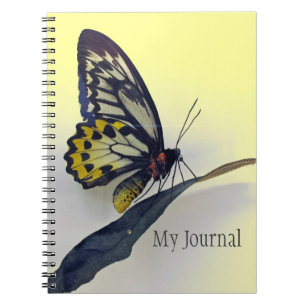 Carnet du journal à bec spiral