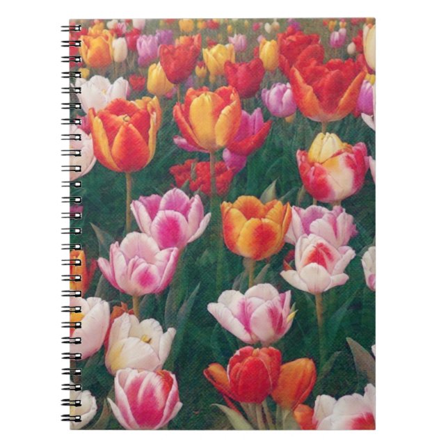 Carnet du Journal du jardin des tulipes printanièr (Devant)