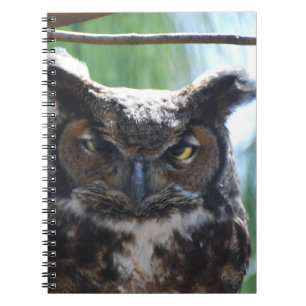 Carnet Duc sage