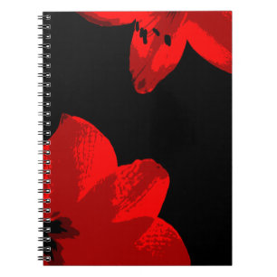 Carnet duo amaryllis rouge