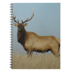 Carnet E43 Élan mâle sur fond de ciel