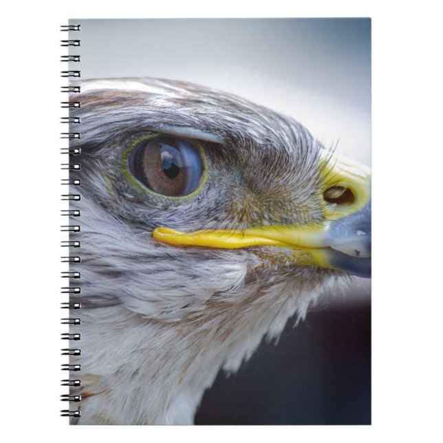 Carnet Eagle (Devant)