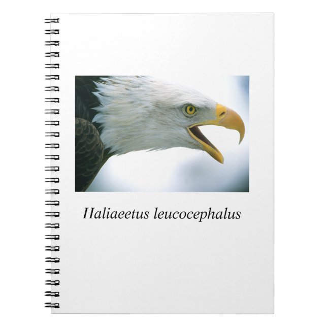 Carnet Eagle#1 (Devant)