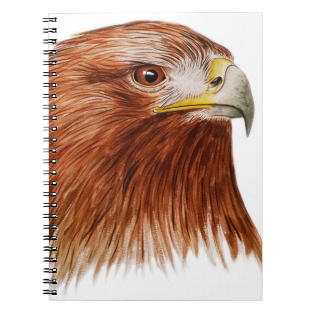 Carnet Eagle d'or 2011 (Devant)