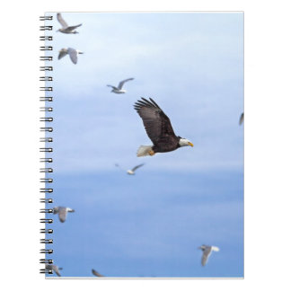 Carnet Eagle et voler de mouettes