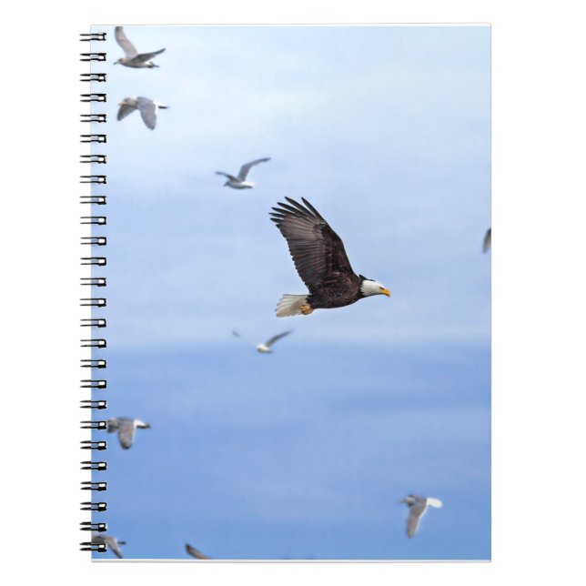 Carnet Eagle et voler de mouettes (Devant)