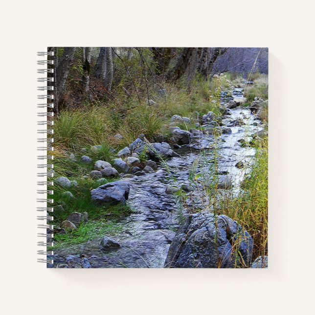 Carnet East Fork/Hayfork creek...... (Devant)