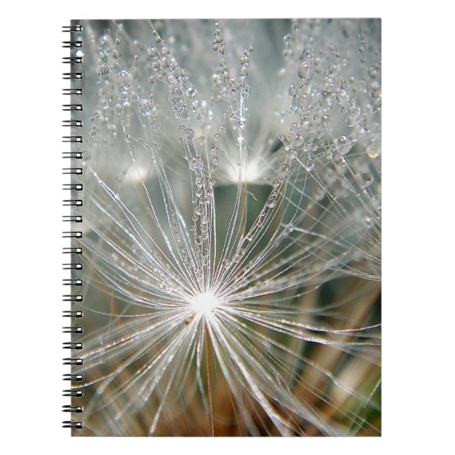 Carnet Eau brillante sur un pissenlit blanc (Devant)